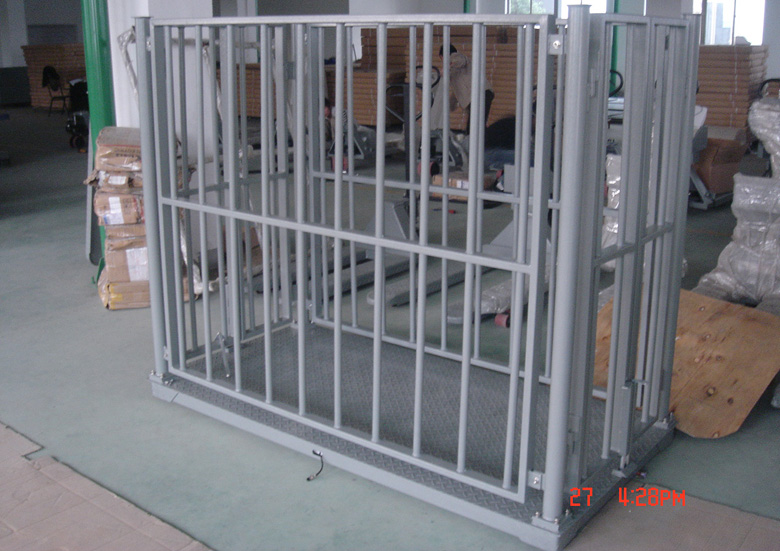 动物称40.jpg 动物称40.jpg